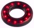 APEM Red Indicator, 12 → 24V dc, 19.1mm Mounting Hole Size, Lead Wires Termination, IP67
