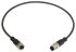 Harting Straight Female M12 to Straight Male M12 Sensor Actuator Cable, 4 Core, PUR, 600mm