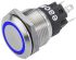 EAO 82 Series Illuminated Push Button Switch, Momentary, Panel Mount, 19mm Cutout, SPDT, Blue LED, 240V, IP65, IP67