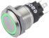 EAO 82 Series Illuminated Momentary Push Button Switch, Panel Mount, SPDT, 19mm Cutout, Green LED, 240V, IP65, IP67