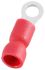 RS PRO Insulated Ring Terminal, M3.2 (#4) Stud Size, 0.5mm² to 1.5mm² Wire Size, Red