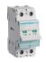 Hager 2P Pole Isolator Switch - 125A Maximum Current, IP20