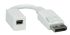 Roline Male DisplayPort to Female Mini DisplayPort, PVC  Cable, 150mm