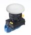 Idec YW Series Illuminated Push Button Complete Unit, Panel Mount, NO, 22mm Cutout, IP65