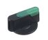 Idec HW Series Selector Switch Head, 22mm Cutout, Green Handle