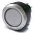 RS PRO Illuminated Push Button Switch, Momentary, Panel Mount, 22.2mm Cutout, DPDT, Green LED, 250V ac, IP65