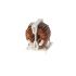 KEMET 4 μH Iron Leaded Inductor, 5A Idc, 0.012mΩ Rdc, SN