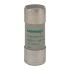 Mersen 100A Ceramic Cartridge Fuse, 22 x 58mm