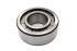 INA SL192305 25mm I.D Cylindrical Roller Bearing, 62mm O.D