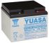 Yuasa 12V M5 Sealed Lead Acid Battery, 24Ah