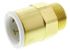 John Guest Straight Brass Push Fit Fitting 22mm 3/4 in BSP Male