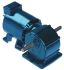 Parvalux Induction AC Geared Motor, 1 Phase, Reversible, 220 → 240 V, 112 rpm, 150 W