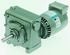 Parvalux Induktion AC-Getriebemotor 3-phasig, Umschaltbar, 75 U/minU/min 190 W