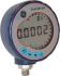 Druck Hydraulic, Pneumatic Digital pressure indicator, DPI104