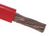 RS PRO Red 10 mm² Hook Up Wire, 8 AWG, 72/0.4 mm, 100m, PVC Insulation