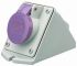 Scame IP44 Purple Wall Mount 3P Right Angle Industrial Power Socket, Rated At 16A, 20 → 25 V