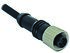 TE Connectivity Straight Female 3 way M12 to Unterminated Sensor Actuator Cable, 5m