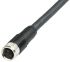 Telemecanique Sensors Straight Female 1/2 in to Free End Sensor Actuator Cable, 3 Core, PUR, 5m