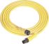 Allen Bradley Guardmaster Cordset for Use with GuardShield™ Safety Light Curtain