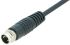Binder Straight Male 3 way M8 to Unterminated Sensor Actuator Cable, 2m