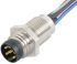 Binder Male 6 way M8 to Unterminated Sensor Actuator Cable, 200mm