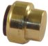 Pegler Yorkshire Brass Pipe Fitting, Straight Push Fit End Stop, Female 15mm