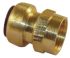 Pegler Yorkshire Brass Pipe Fitting, Straight Push Fit Coupler, Female G 1/2in to Female 15mm