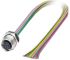Phoenix Contact Female 12 way M12 to Sensor Actuator Cable, 500mm