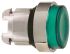 Schneider Electric Harmony XB4 Series Green Illuminated Spring Return Push Button Head, 22mm Cutout, IP66, IP69K