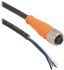 Telemecanique Sensors M12 til Fri ende Sensor/aktuatorkabel, 5m kabel