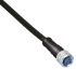 Brad from Molex Straight Female M8 to Free End Sensor Actuator Cable, 4 Core, PVC, 10m