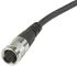 Brad Power Cable Assembly, 5m