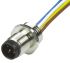 Brad from Molex Straight Male 12 way M12 to Unterminated Sensor Actuator Cable, 300mm