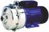 Xylem Lowara, 230 V 8 bar Direct Coupling Centrifugal Water Pump, 150L/min