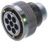 AB Connectors Circular Connector, 7 Contacts, Cable Mount, Plug, Female, IP67, ABCIRP Series