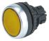 BACO Illuminated Flush Yellow Push Button Head - Spring Return, 22mm Cutout, Round