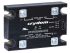 Sensata Crydom DP Series Solid State Relay, 20 A Load, Panel Mount, 48 V dc Load, 32 V dc Control