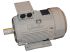 TECO Westinghouse 0.75 kW交流电动机 三相感应电机, 380 V, 1430 rpm输出, IE2, AEEVF3系列