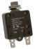 TE Connectivity W58 Single Pole Thermal Magnetic Circuit Breaker - 50 V dc, 250 V ac Voltage Rating, 10A Current Rating