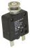 TE Connectivity W58 Single Pole Thermal Circuit Breaker - 50 V dc, 250V ac Voltage Rating, 8A Current Rating