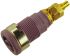 Hirschmann Test & Measurement Violet Female Banana Socket, 4 mm Connector, Solder Termination, 32A, 1000V ac/dc, Gold