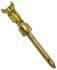 TE Connectivity, AMPLIMITE HDP-20 size 20 Male Crimp D-sub Connector Contact, Gold over Nickel Pin, 24 → 20 AWG