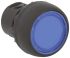 Allen Bradley Round Blue Push Button Head - Momentary, 800F Series, 22mm Cutout