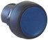 Allen Bradley Round Blue Push Button Head - Momentary, 800F Series, 22mm Cutout