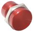 CAMDENBOSS Piezo-Schalter Rot 200 mA @ 24 V 1-poliger Ein/Aus-Schalter Drahtanschluss IP 68 Tastend