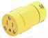 Molex Kabel Netzsteckdose Gelb, 2P, NEMA 5 - 15R / 0 USB-Buchsen, 125 V / 15A, für USA