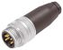 Murrelektronik Circular Connector, 5 Contacts, Cable Mount, 7/8 Connector, Plug, Male, IP65, IP67, 7000 Series