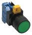 Idec, IDEC HW Non-illuminated Green Round Push Button, 22mm Momentary