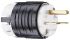 PASS & SEYMOUR USA Mains Plug, 15A, Cable Mount, 250 V