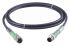 Jumo M12 Cable assembly, 2m Cable